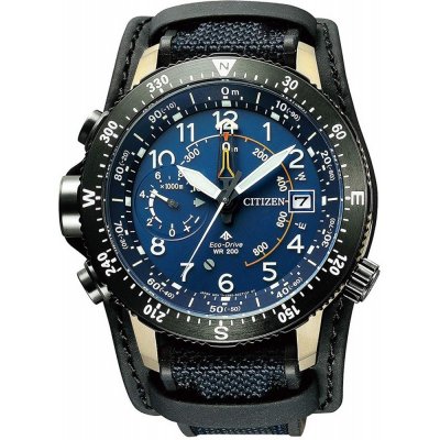 Reloj Citizen Promaster Land BN4055-19L Altichron