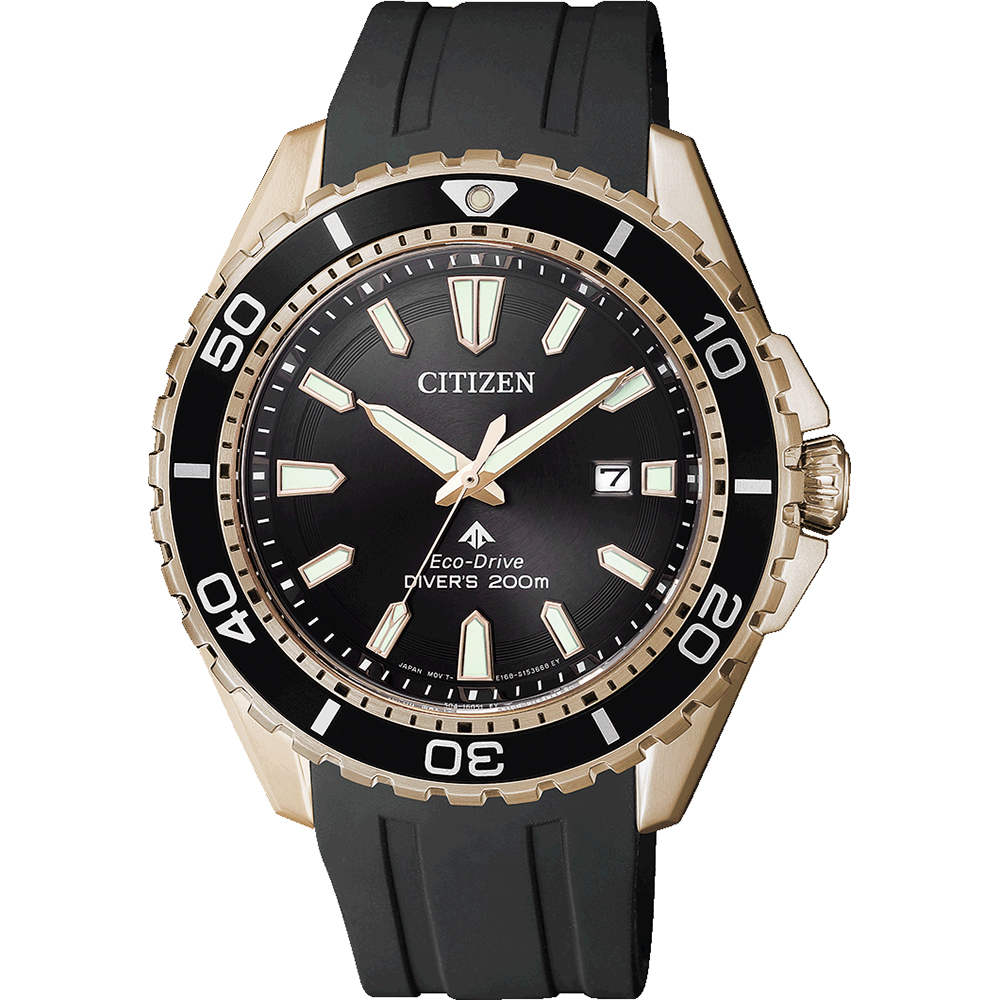 Reloj Citizen Marine BN0193-17E Promaster Sea