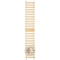 Correa D & G D&G Straps F370001254 3729250332 Gate