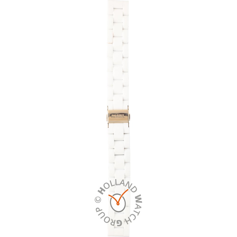 Correa fossil online sport