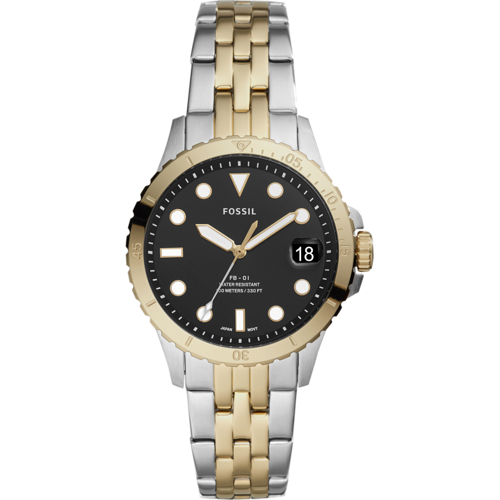 Fossil ES4745 FB-01 Reloj