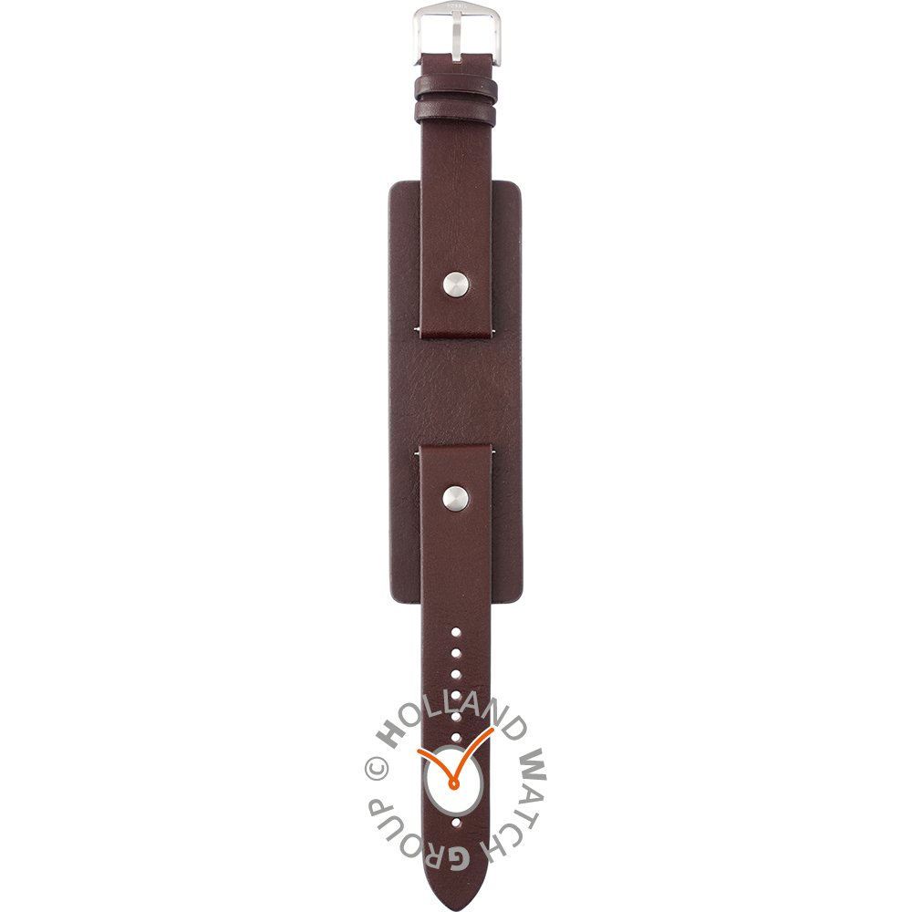 Correa fossil cheap