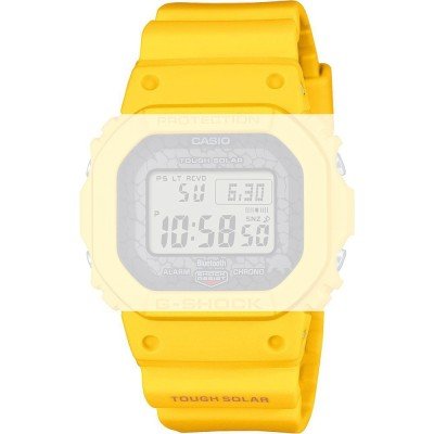 Correa G-Shock 10667588 Charles Darwin Foundation - Galapagos Giant Tortoise