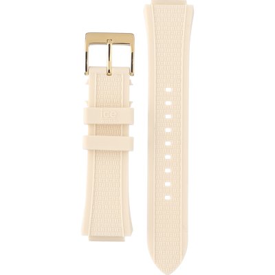 Correa Ice-Watch 022007 ICE boliday