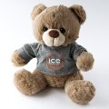 Regalo gratis Ice-Watch ICE-WATCH-TEDDYBEAR Ice Watch Teddy Bear