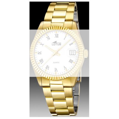 Correa Lotus Straps BA03209 15799