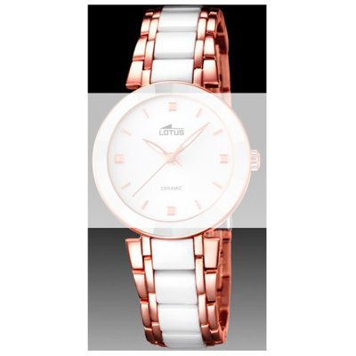 Correa Lotus Straps BA03407 15939