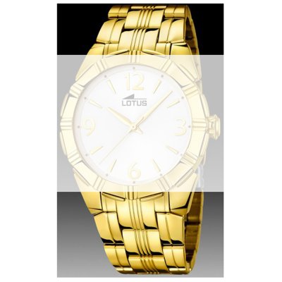 Correa Lotus Straps BA03510 15985