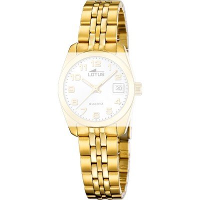 Correa Lotus BA04889 Freedom