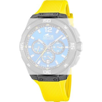 Correa Lotus BC11864 Carbon