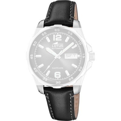 Correa Lotus BC11883 Archive