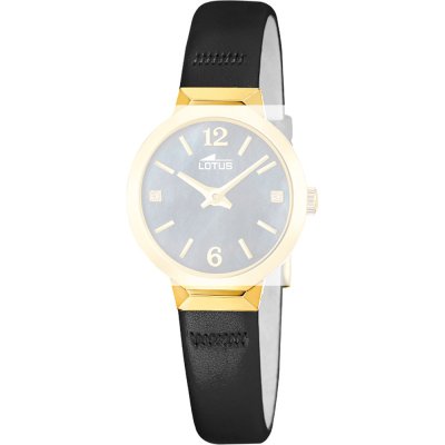 Correa Lotus BC12002 Old Money