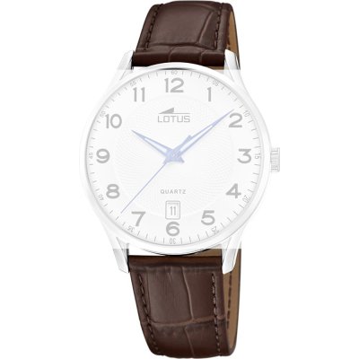 Correa Lotus BC12070 18402/G